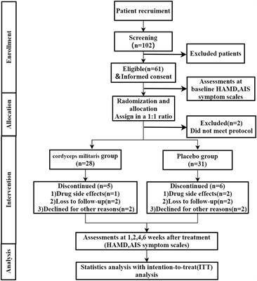 Efficacy and Safety of Cordyceps militaris as an Adjuvant to Duloxetine in the Treatment of Insomnia in Patients With Depression: A 6-Week Double- Blind, Randomized, Placebo-Controlled Trial